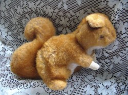 SQUIRREL VIEW A_02